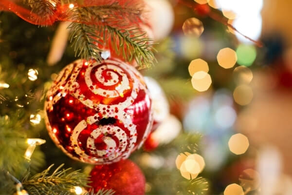 bola de navidad de color blanco y rojo colgada de árbol de navidad con ramas verdes